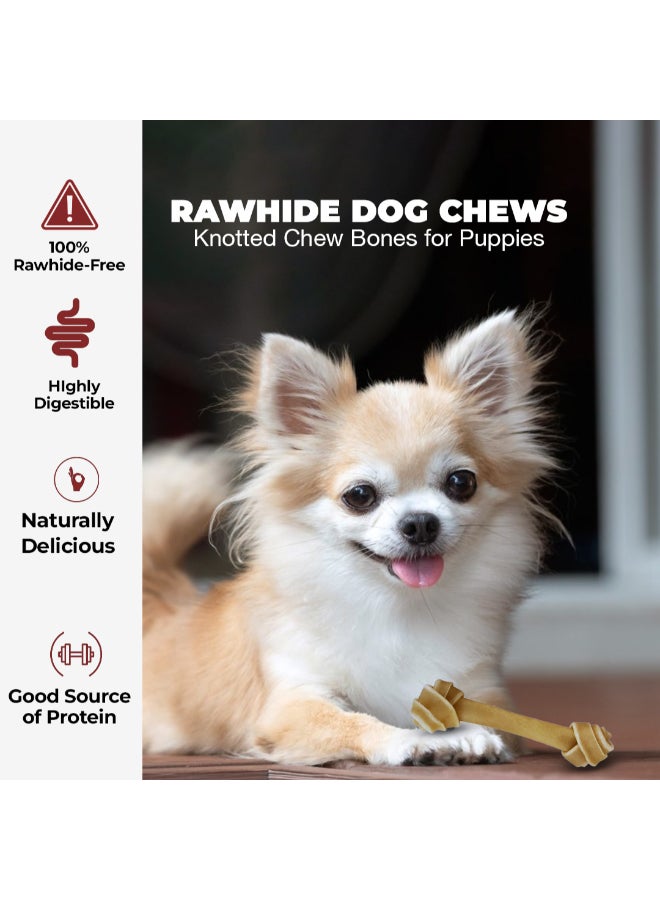 Les Filous - Knotted Bone Dog Chew 8-8.5inch - Image 1