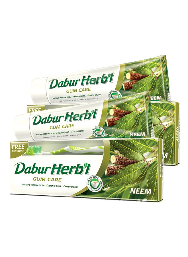 Dabur Herbal Neem Toothpaste, 150G + Assorted Colors Toothbrush Free Pack Of 2 Natural Toothpaste For Strong Healthy Gums And Fresh Breath No Fluoride And Harmful Chemicals 150grams - Image 2