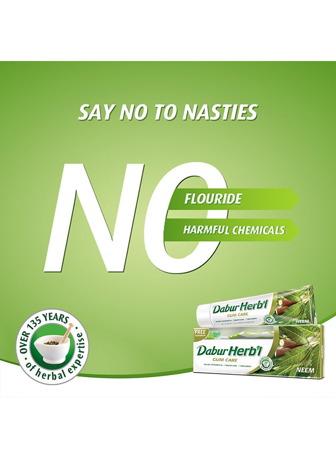 Dabur Herbal Neem Toothpaste, 150G + Assorted Colors Toothbrush Free Pack Of 2 Natural Toothpaste For Strong Healthy Gums And Fresh Breath No Fluoride And Harmful Chemicals 150grams - Image 5