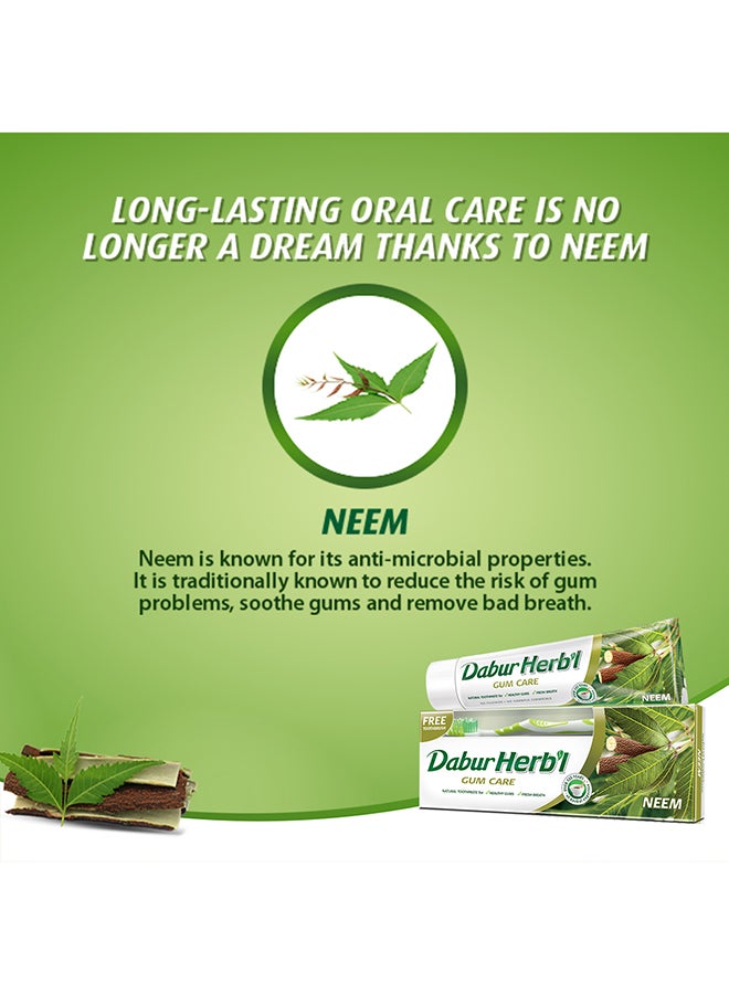 Dabur Herbal Neem Toothpaste, 150G + Assorted Colors Toothbrush Free Pack Of 2 Natural Toothpaste For Strong Healthy Gums And Fresh Breath No Fluoride And Harmful Chemicals 150grams - Image 4