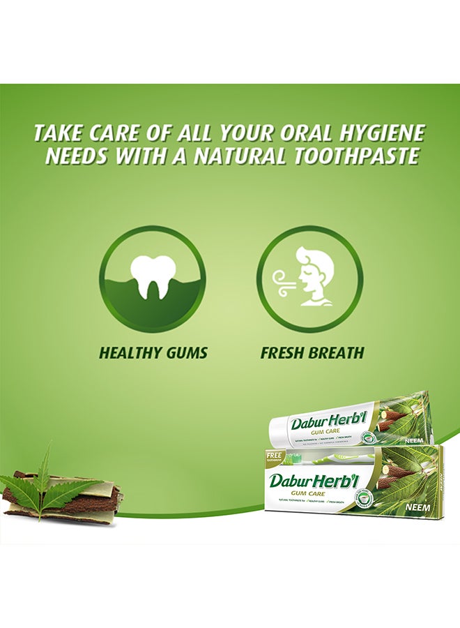 Dabur Herbal Neem Toothpaste, 150G + Assorted Colors Toothbrush Free Pack Of 2 Natural Toothpaste For Strong Healthy Gums And Fresh Breath No Fluoride And Harmful Chemicals 150grams - Image 3
