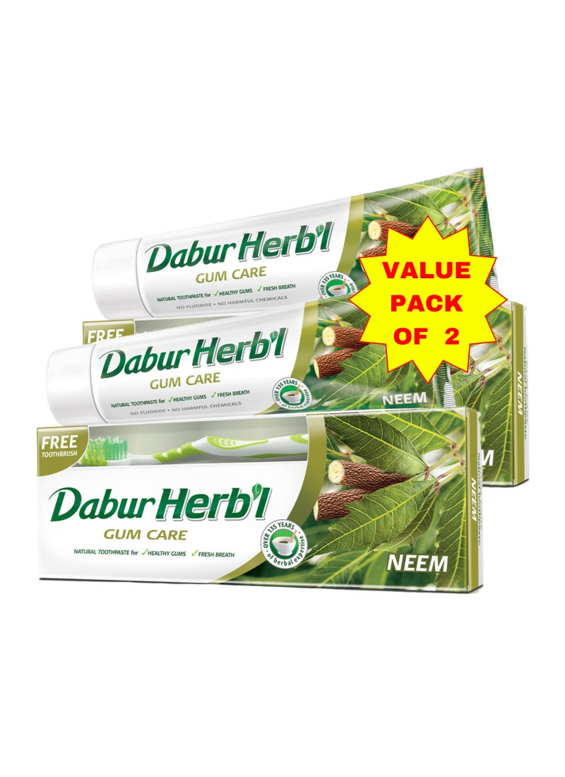 Dabur Herbal Neem Toothpaste, 150G + Assorted Colors Toothbrush Free Pack Of 2 Natural Toothpaste For Strong Healthy Gums And Fresh Breath No Fluoride And Harmful Chemicals 150grams - Image 1
