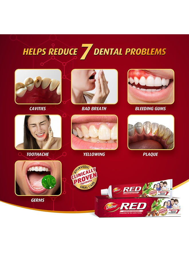 Dabur - Ayurvedic Red Toothpaste For Teeth And Gums Pack Of 2 200.0grams - Image 1
