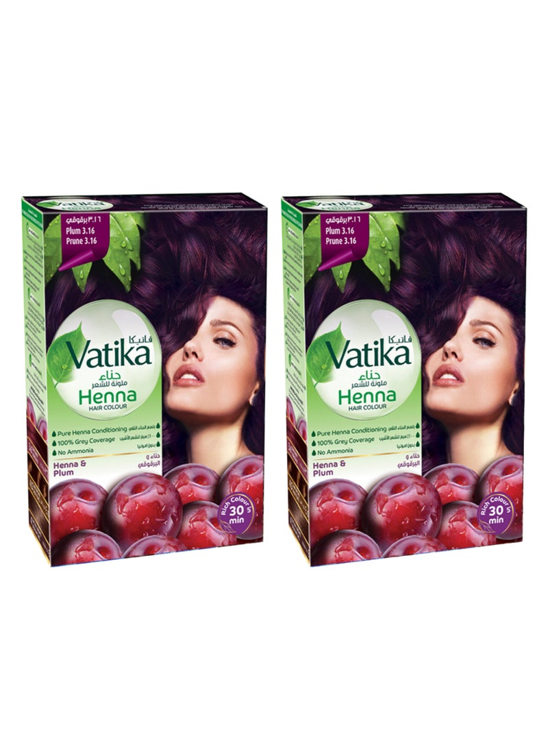 VATIKA Henna Haircolor, Plum, 10g Pack of 2 Plum - Image 1