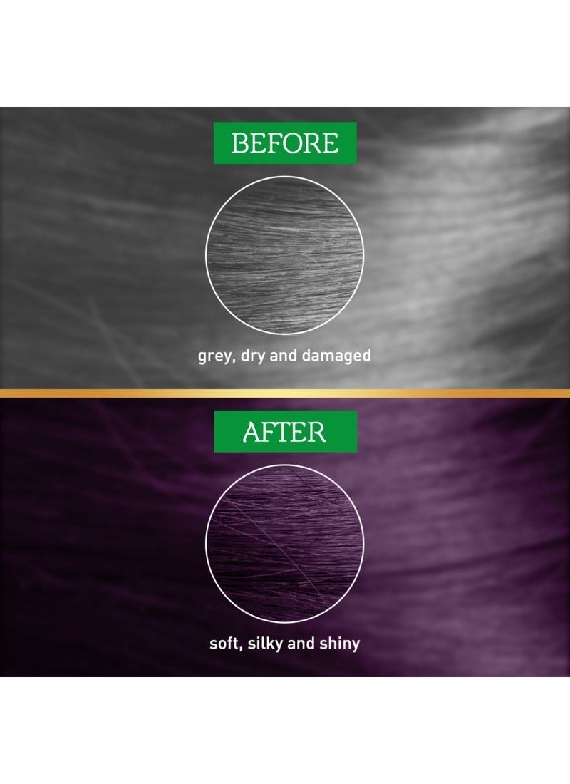 VATIKA Henna Haircolor, Plum, 10g Pack of 2 Plum - Image 5