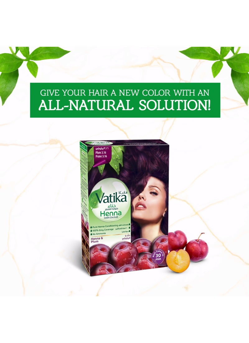 VATIKA Henna Haircolor, Plum, 10g Pack of 2 Plum - Image 2