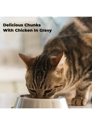 Pack Of 12 Chunks With Chicken In Gravy 100grams - view 4