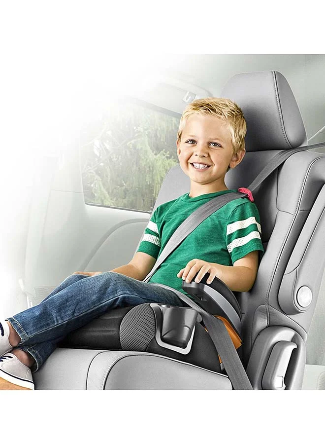 Chicco Gofit Backless Booster Car Seat 40-110Lbs, Raindrop