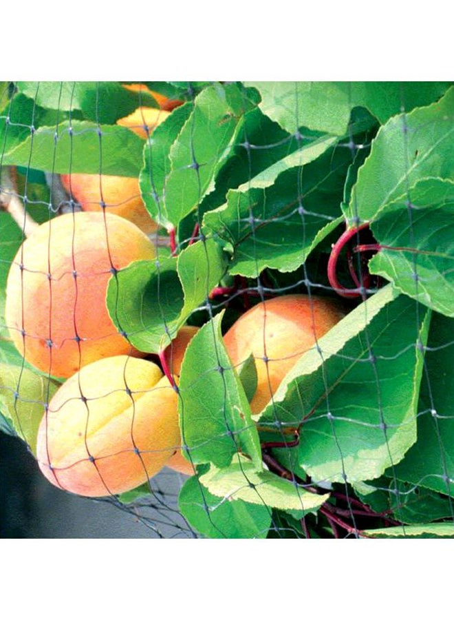 شبكة واقية لتغطية النباتات من الطيور أخضر 4x10متر - Image 5