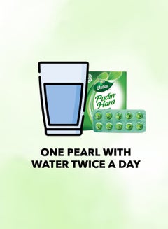 Dabur Pudin Hara Instant Cooling Relief From Indigestion Stomach Ache Gas And Acidity 20 Pearls Pack Of 5  - Image 5