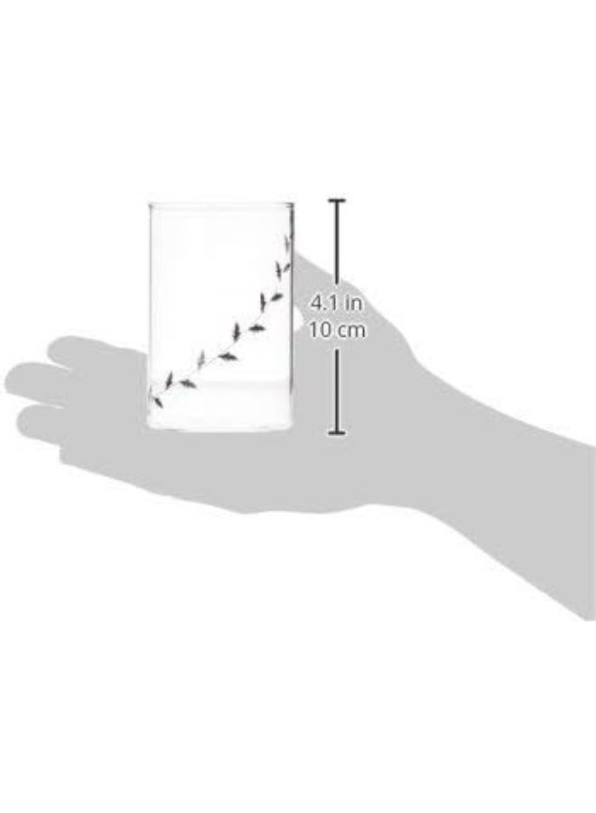 Borosil - Vision Black Krip Medium Glass, 295ml - Pack of 6 Clear - Image 4