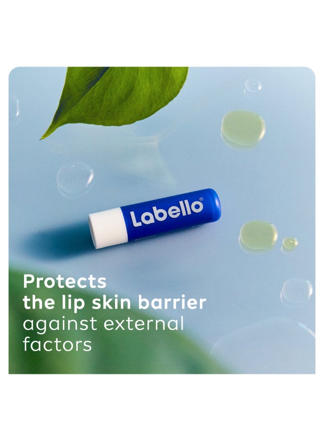 Labello Moisturizing Lip Balm Original With Shea Butter 4.8g  Pack of 2 - Image 3