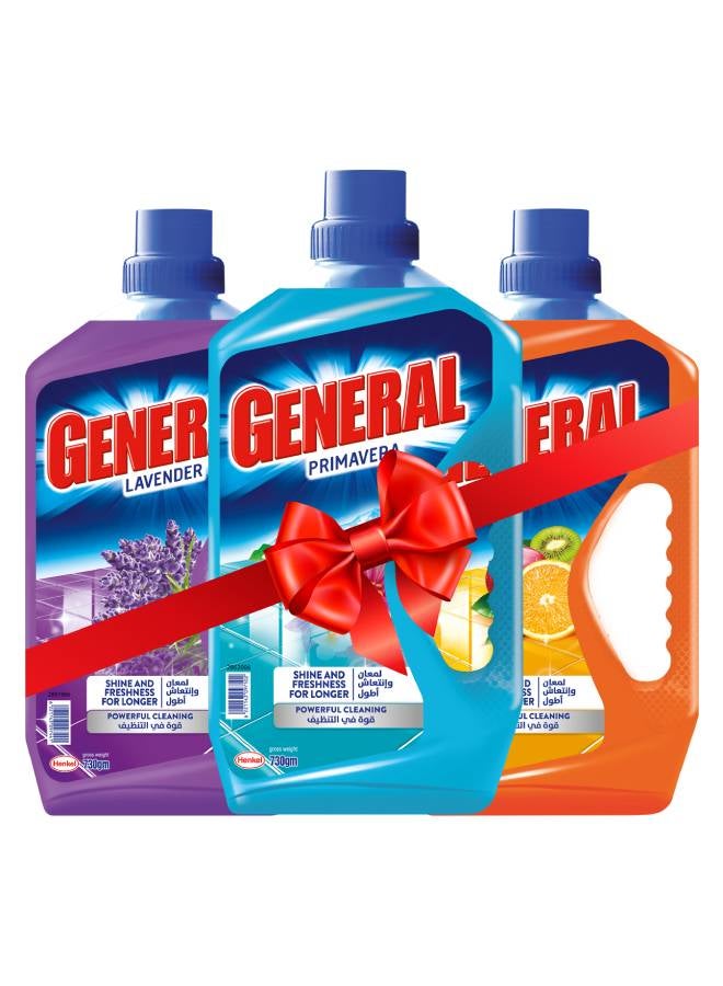 عام منظف متعدد الأغراض - عبوة من 3 قطع 730جرام