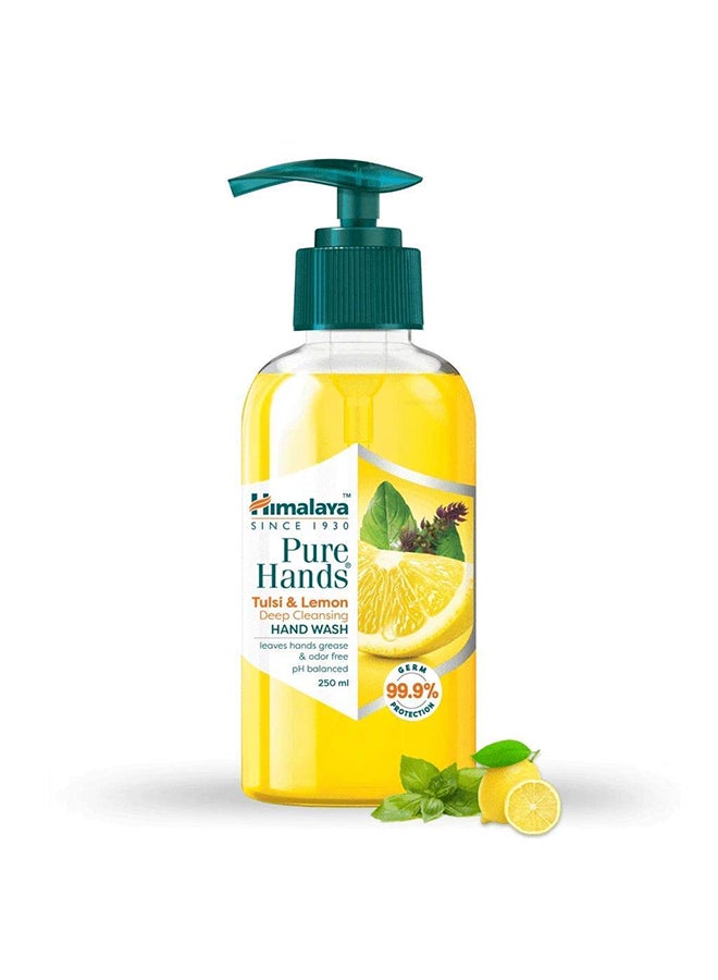 Himalaya Anti–Bacterial Hand Wash 250ml - Image 1