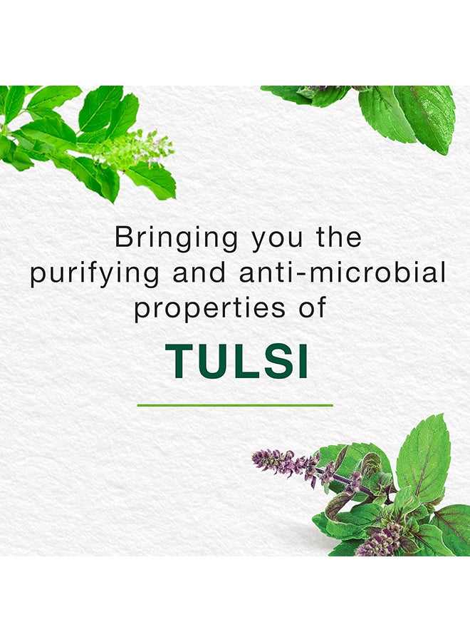 هيمالايا غسول لليدين مضاد للبكتيريا بالريحان والألوفيرا 250ملليلتر - Image 3