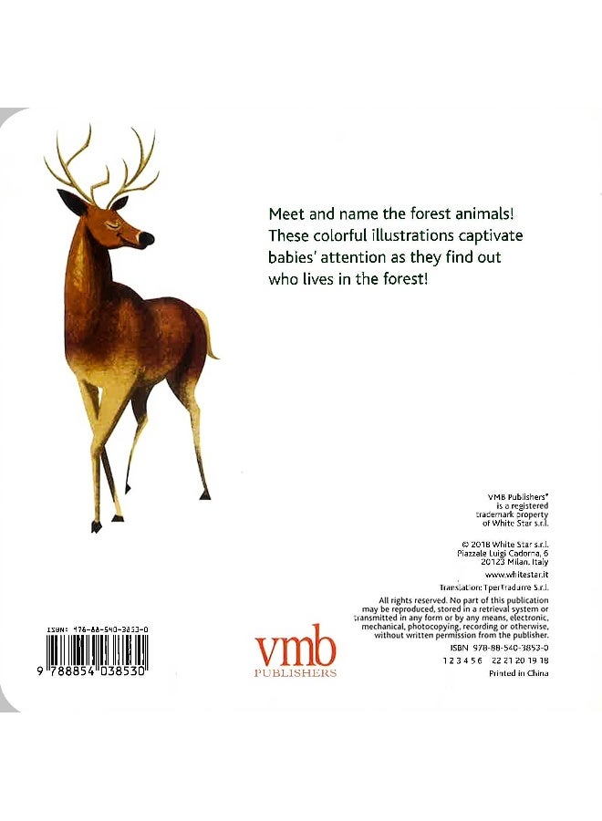 My First Book Of Forest Animals Hardcover English by Anna Lang - Image 2