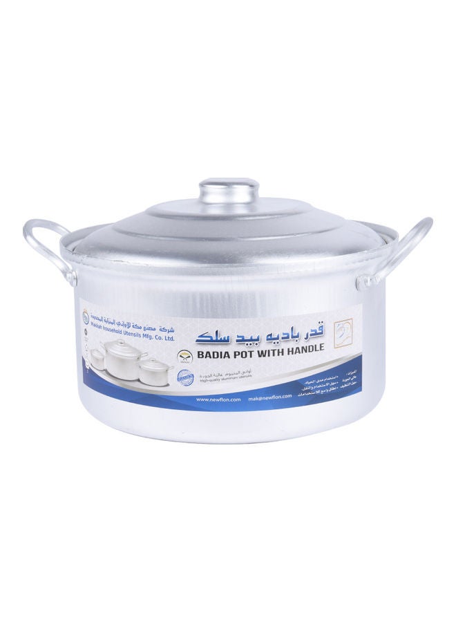 وعاء شواء من الألومنيوم مع غطاء فضي 22سم