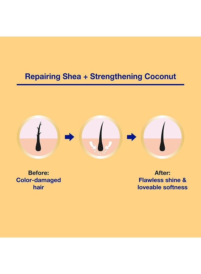 Parachute Advansed Shea Enriched Coconut Hair Oil Repairs For Soft Hair 300ml - Image 2