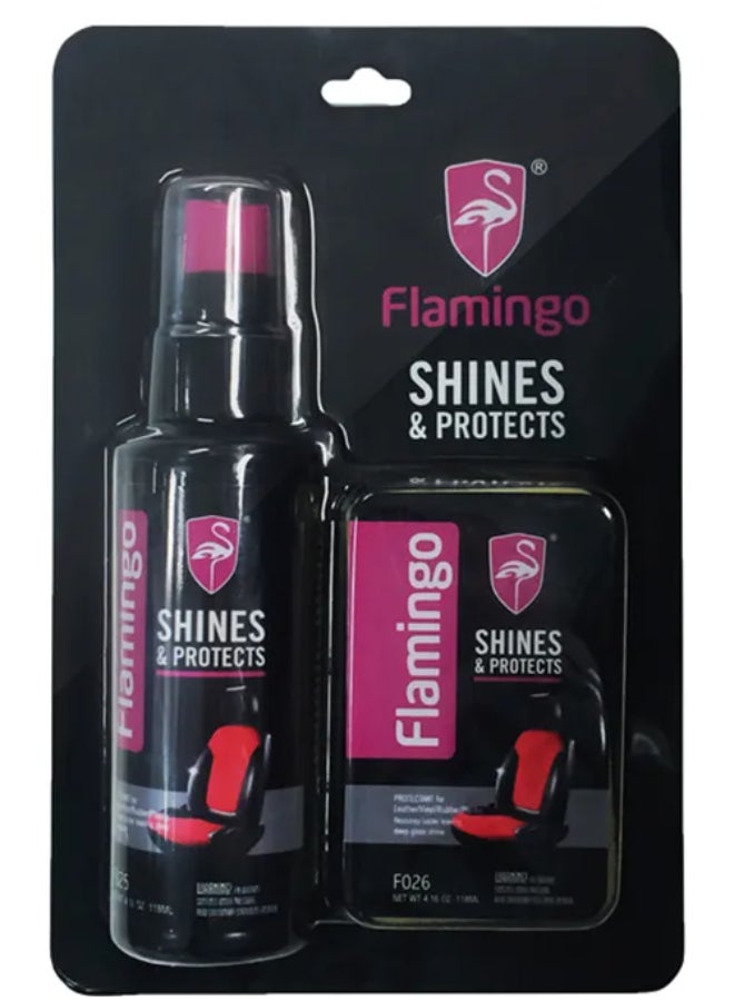 مجموعة منظف سيارات شاينز آند بروتيكتس مع إسفنجة من قطعتين