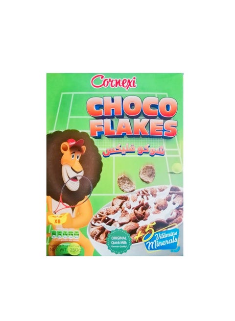 Choco Flakes Box 250grams