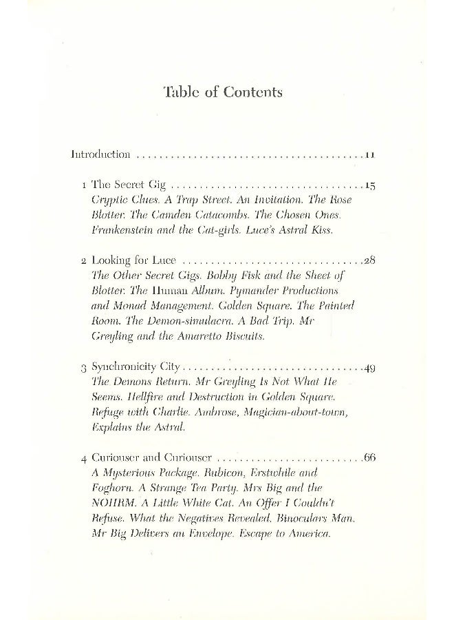 The Book Of Luce Hardcover English by L. R. Fredericks - Image 3