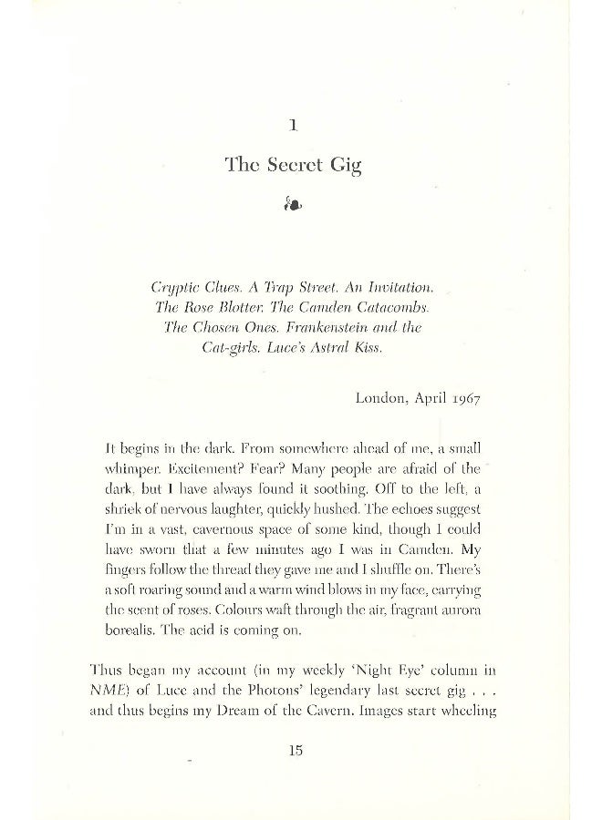The Book Of Luce Hardcover English by L. R. Fredericks - Image 4
