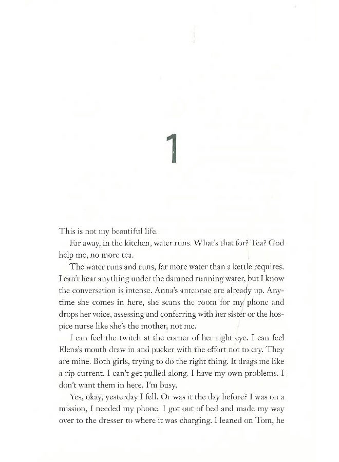 The Next Hardcover English by Gangi Stephanie - Image 3
