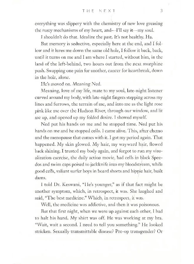 The Next Hardcover English by Gangi Stephanie - Image 5