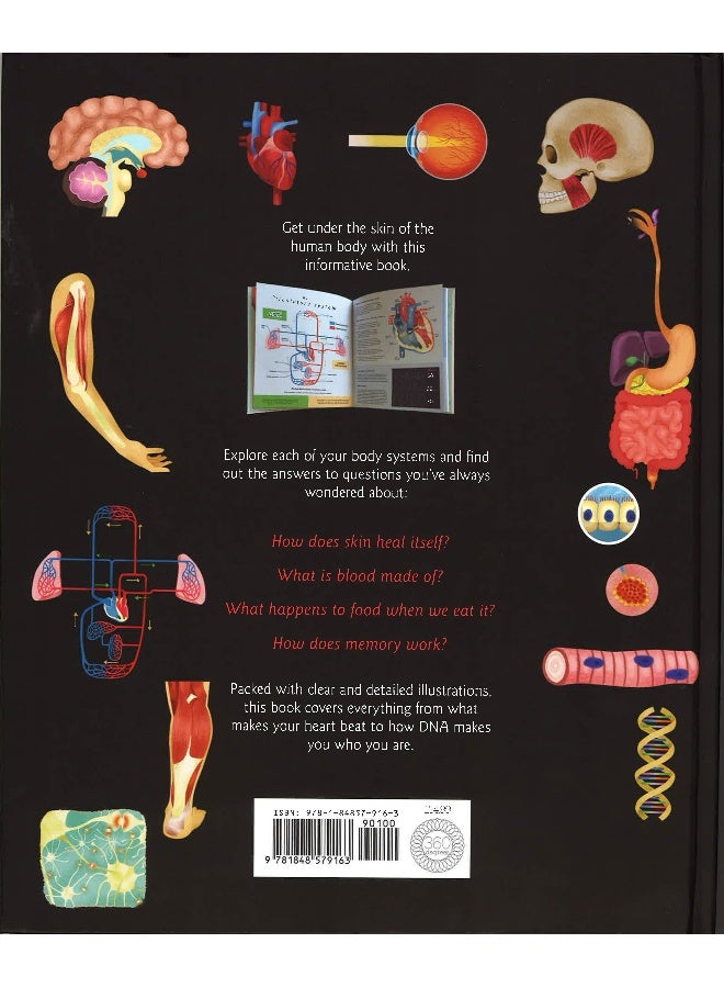 Humanantomy : How The Body Works Hardcover English by Nicola Edwards - Image 2