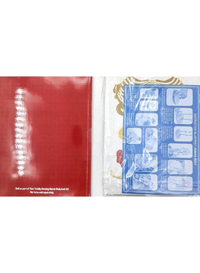 Lightspeed: Human Body Paperback English - Image 4