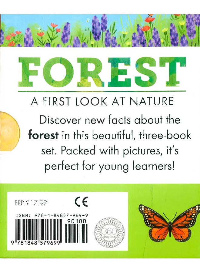 Forest: A First Look At Nature (Set Of 3 Books) Paperback English - Image 2