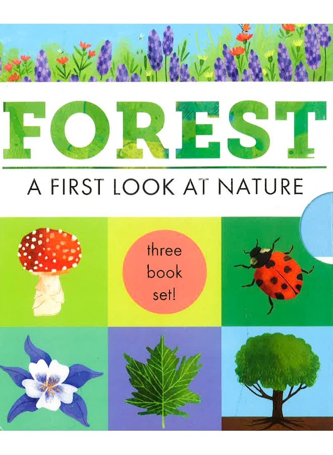 Forest: A First Look At Nature (Set Of 3 Books) Paperback English - Image 1