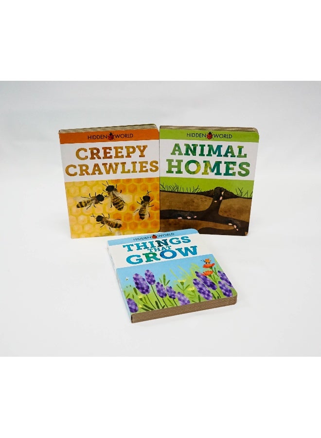 Forest: A First Look At Nature (Set Of 3 Books) Paperback English - Image 4