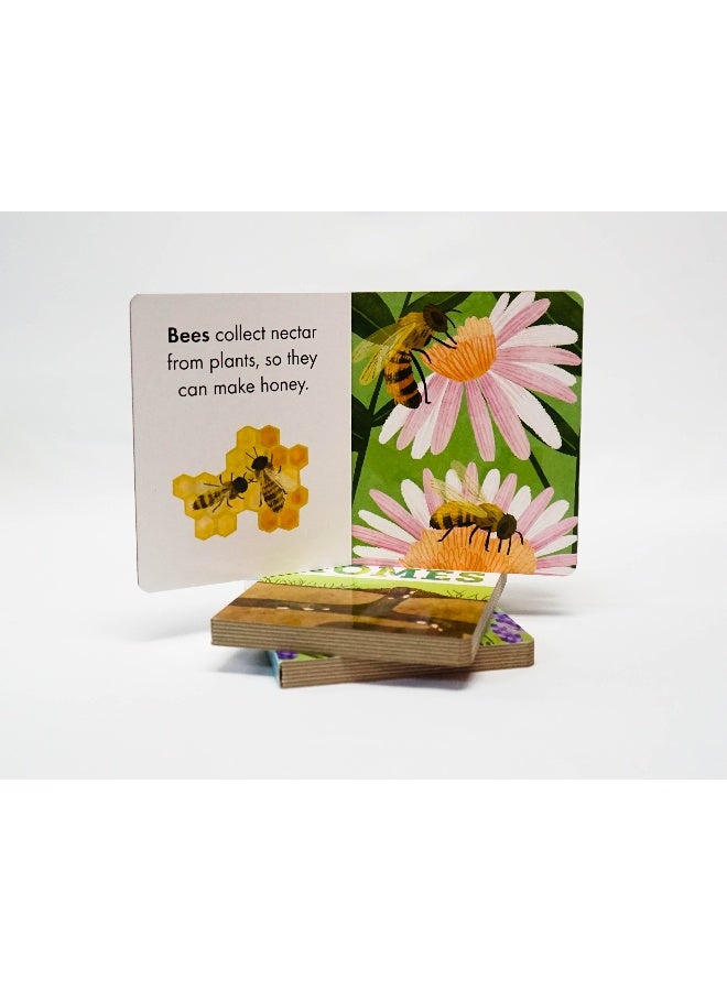 Forest: A First Look At Nature (Set Of 3 Books) Paperback English - Image 5