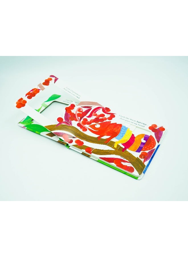 Chameleon's Colours Board Book English by Harriet Evans - 01 Apr 2020 - Image 4
