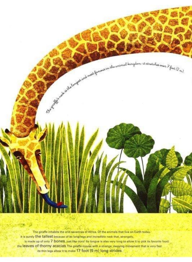 The Little Book Of Tiny Animals, The Big Book Of Giant Animals Hardcover English by Francesca Cosanti - 6 November 2018 - Image 5