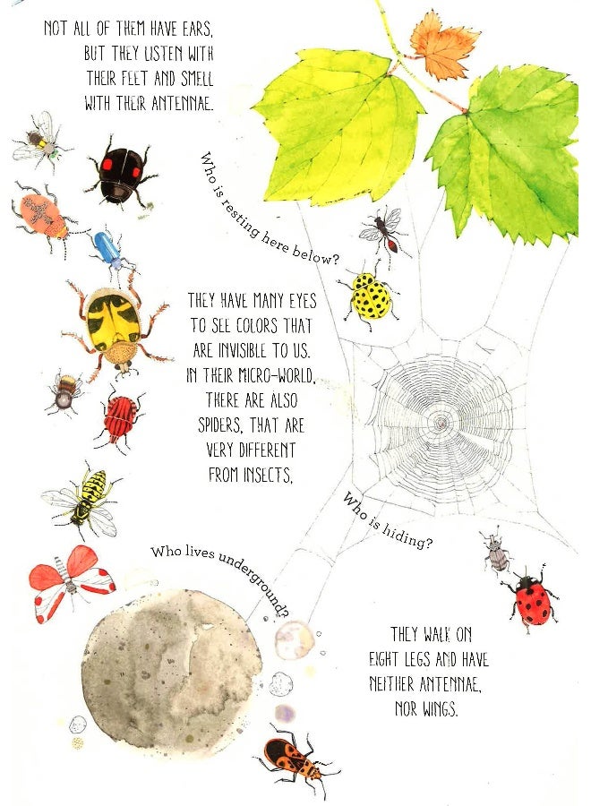 Lift The Flaps: Discover The World Of Bugs Hardcover English by Margherita Borin - Image 3