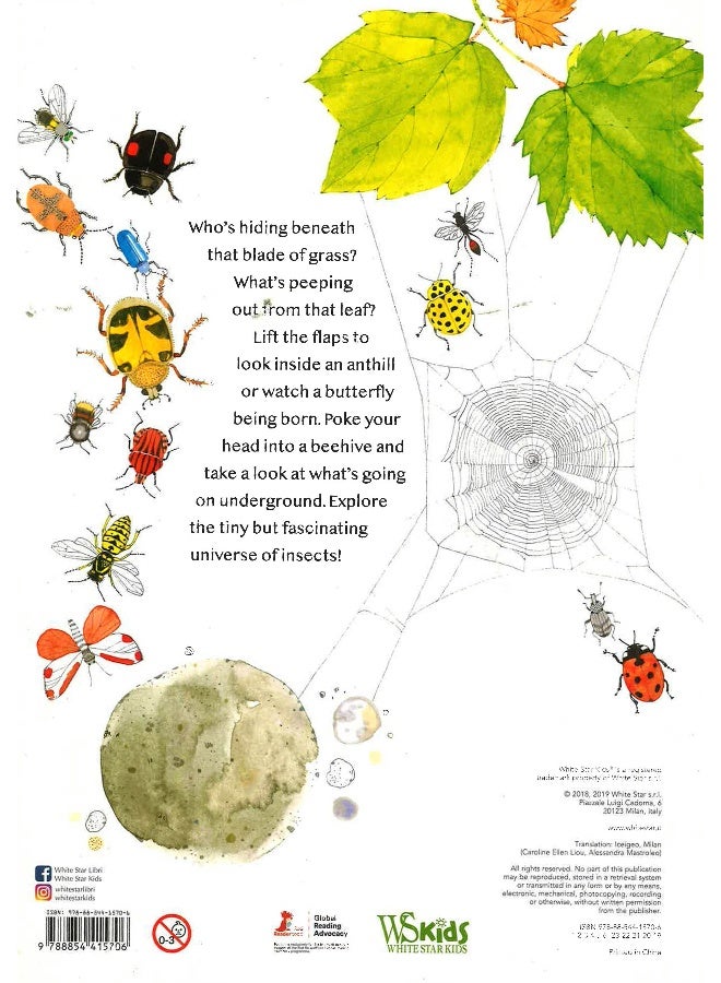 Lift The Flaps: Discover The World Of Bugs Hardcover English by Margherita Borin - Image 2