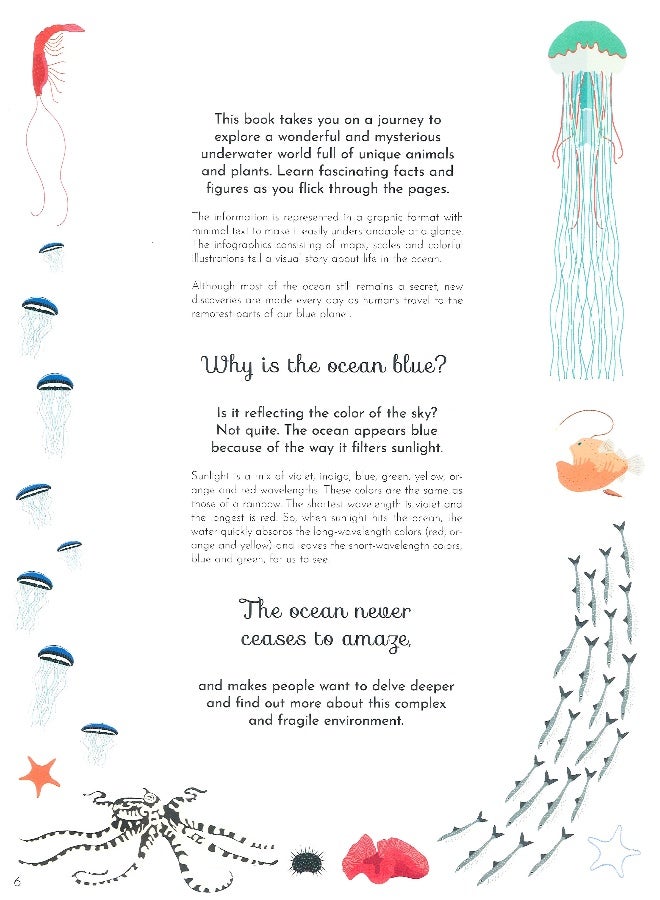 Ocean Explorers: Secrets Of The Deep Hardcover English by Sabrina Weiss - Image 5