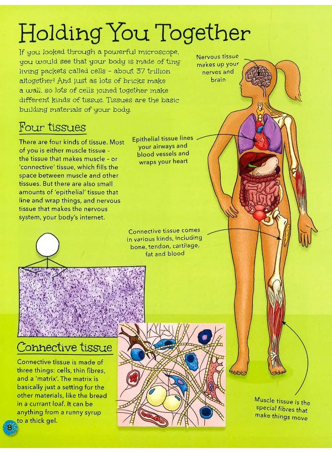 Stickmen's Guide To Your Body Hardcover English by John Farndon - 22 Aug 2019 - Image 5