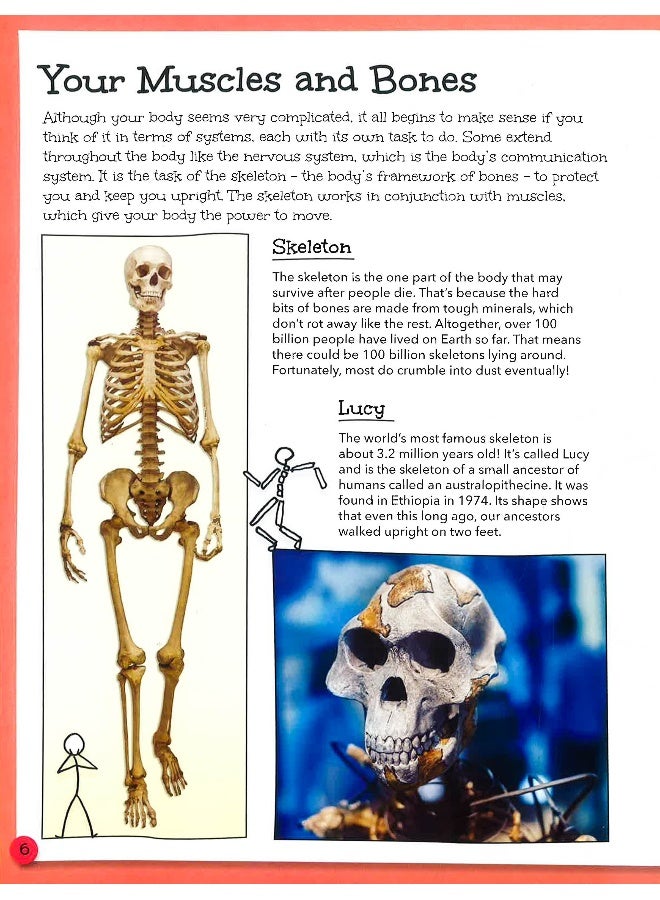 Stickmen's Guide To Your Body Hardcover English by John Farndon - 22 Aug 2019 - Image 4