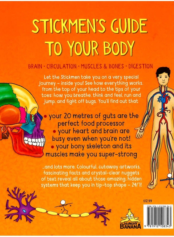 Stickmen's Guide To Your Body Hardcover English by John Farndon - 22 Aug 2019 - Image 2