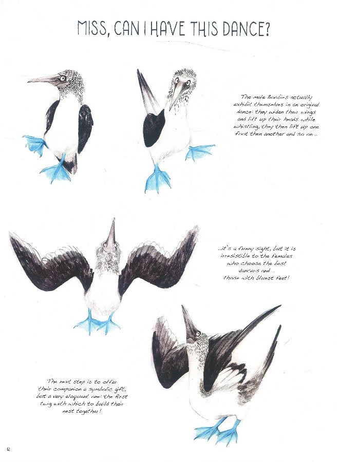 They Lived Happily Ever After: Love In The Animal World Hardcover English by Valter Fogato - 09 May 2019 - Image 5