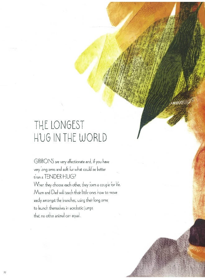 They Lived Happily Ever After: Love In The Animal World Hardcover English by Valter Fogato - 09 May 2019 - Image 4