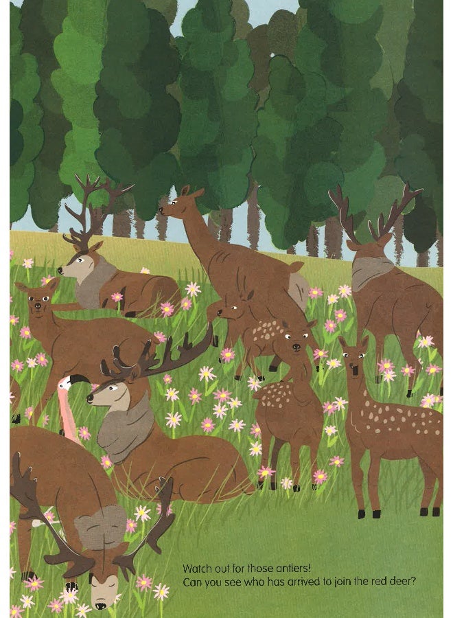 Hide And Seek: An Around-The-World Animal Search Hardcover English by Charlene Man - 02 Jul 2018 - Image 4