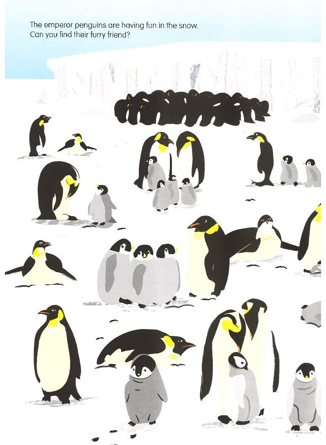 Hide And Seek: An Around-The-World Animal Search Hardcover English by Charlene Man - 02 Jul 2018 - Image 5