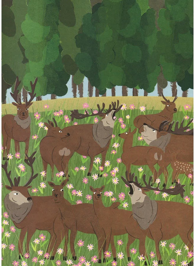 Hide And Seek: An Around-The-World Animal Search Hardcover English by Charlene Man - 02 Jul 2018 - Image 3