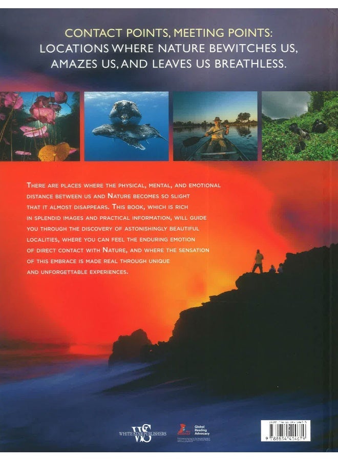 Encounters With Nature Hardcover English by Gianni Morelli - Image 2
