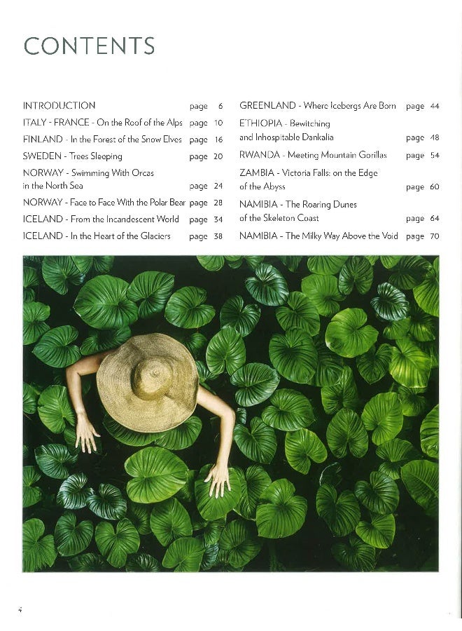 Encounters With Nature Hardcover English by Gianni Morelli - Image 3
