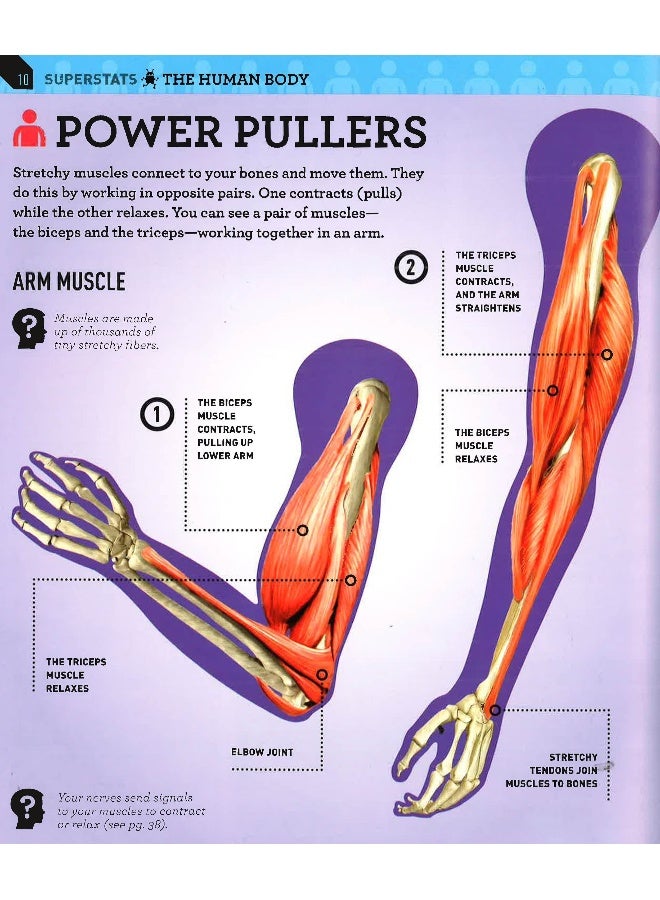 Superstats: Amazing Body Hardcover English by Moira Butterfield - 04 Aug 2015 - Image 3